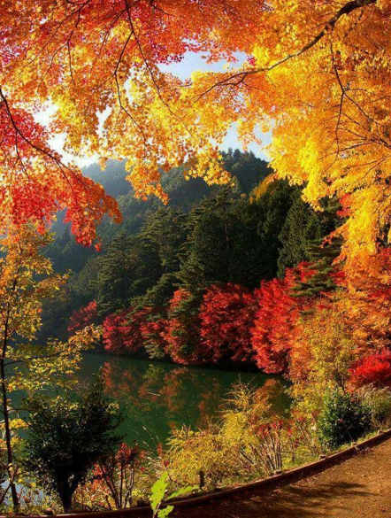 OUVERTURE DES INSCRIPTIONS VACANCES D’AUTOMNE ET PREPROGRAMME